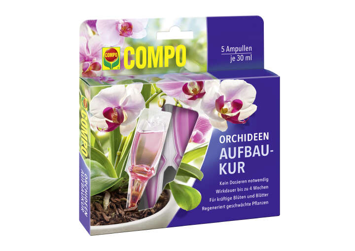COMPO Orchideen-Aufbaukur